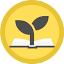 seedstostories.com