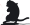 sklepwaneko.pl