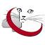 4cats.de
