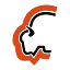 bison.com.mx