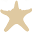 fivestargulfrentals.com