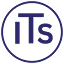 itstrategists.com