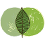 melbournenaturaltherapies.com.au