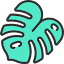 netaplants.co.il