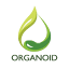 organoid.co.th