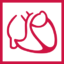 pacemaker-register.de