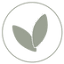 seedlingandco.com