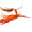 swingershelp.com