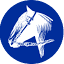 caballoyrodeo.cl