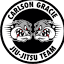 carlsongracieteamhouston.com