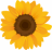 cocofure.com