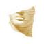 dentalcyprus.com
