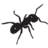 exopest.com.au
