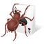 free-spider-solitaire.com