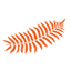 newzealandtrends.com