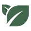 seedbed.com