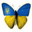 ukraine-solutions.com