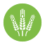 agripreneur.tn