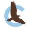 casty-shop.ch