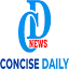 concisedaily.com