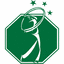 customgolfstop.com