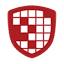 digitalallyinc.com