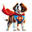 elgrancachorro.com