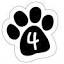 fourpawscatrescue.org.uk