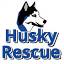 huskyrescue.org.za