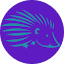 panhandleexotics.com