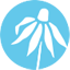prairienursery.com