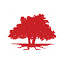 usetinc.org