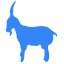 bluegoatimports.com