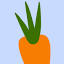 bostonveg.org