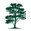 chathamforestapts.com
