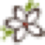 daflor.by
