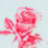 davesflowerbox.com