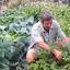 growfoodwell.com