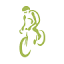 raceacrossthealps.com