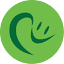 risasdental.com