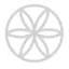 seedagency.com
