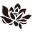 thepurelotus.com