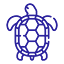 zanteturtlecenter.com