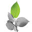 alasoplascpas.com