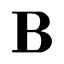 babbonyc.com