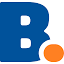 bridge.nl