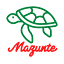 centromexicanodelatortuga.org