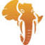 damonasafaris.com