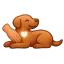 dogmassageacademy.it
