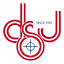 dsjprinting.com